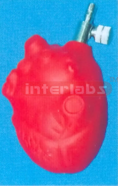 MEDICAL HEART TYPE PUMP